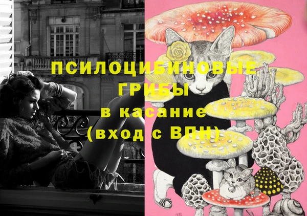 твердый Алексин