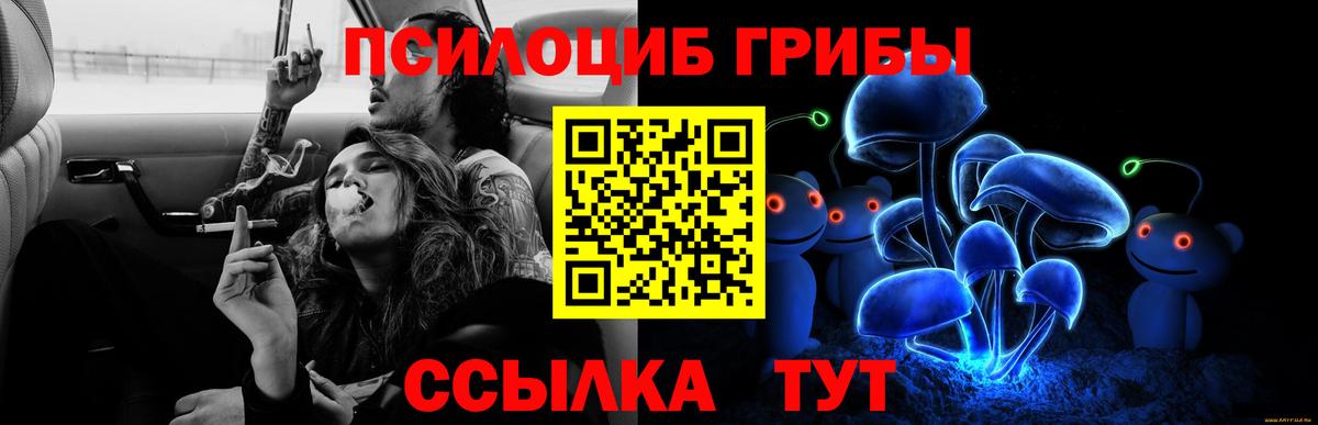 Псилоцибиновые грибы MAGIC MUSHROOMS  купить наркотик  Лабинск  Галлюциногенные грибы Cubensis  Вход с VPN 